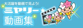 ミヤリー動画
