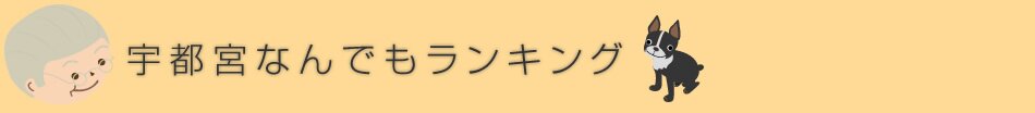 宇都宮なんでもランキング