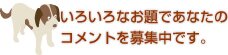 いろいろなお題であなたのコメントを募集中です。